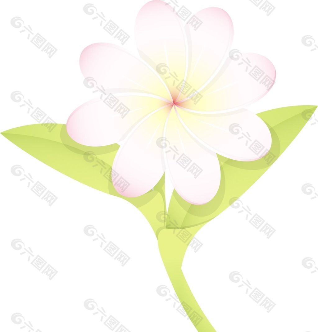 白色的花朵矢量