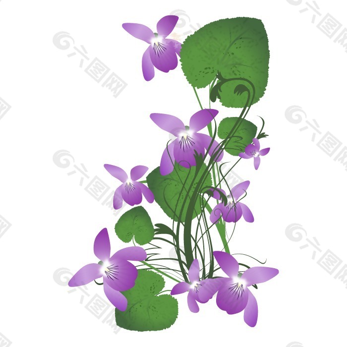 矢量图 植物 写意花卉 花朵 蝴蝶兰 免费素材