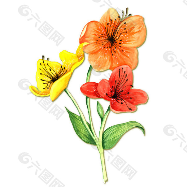位图 植物 写意花卉 花朵 蝴蝶兰 免费素材