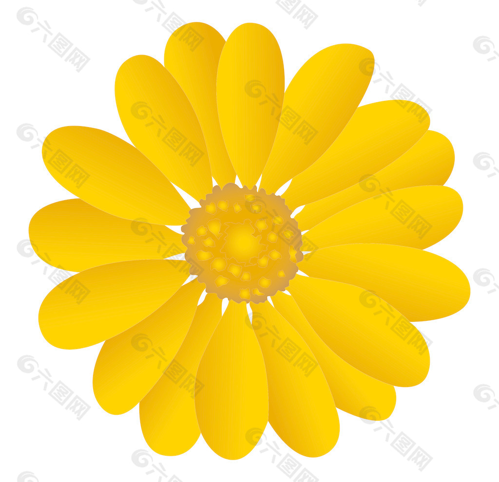 黄色的雏菊