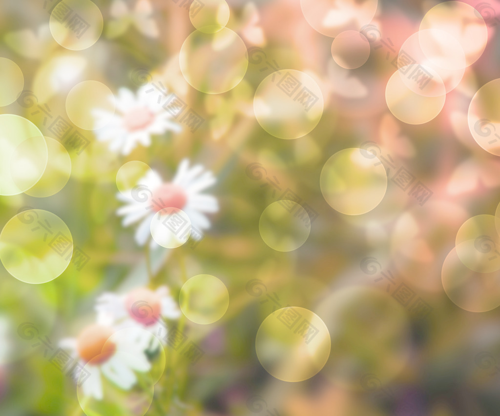 花散景背景