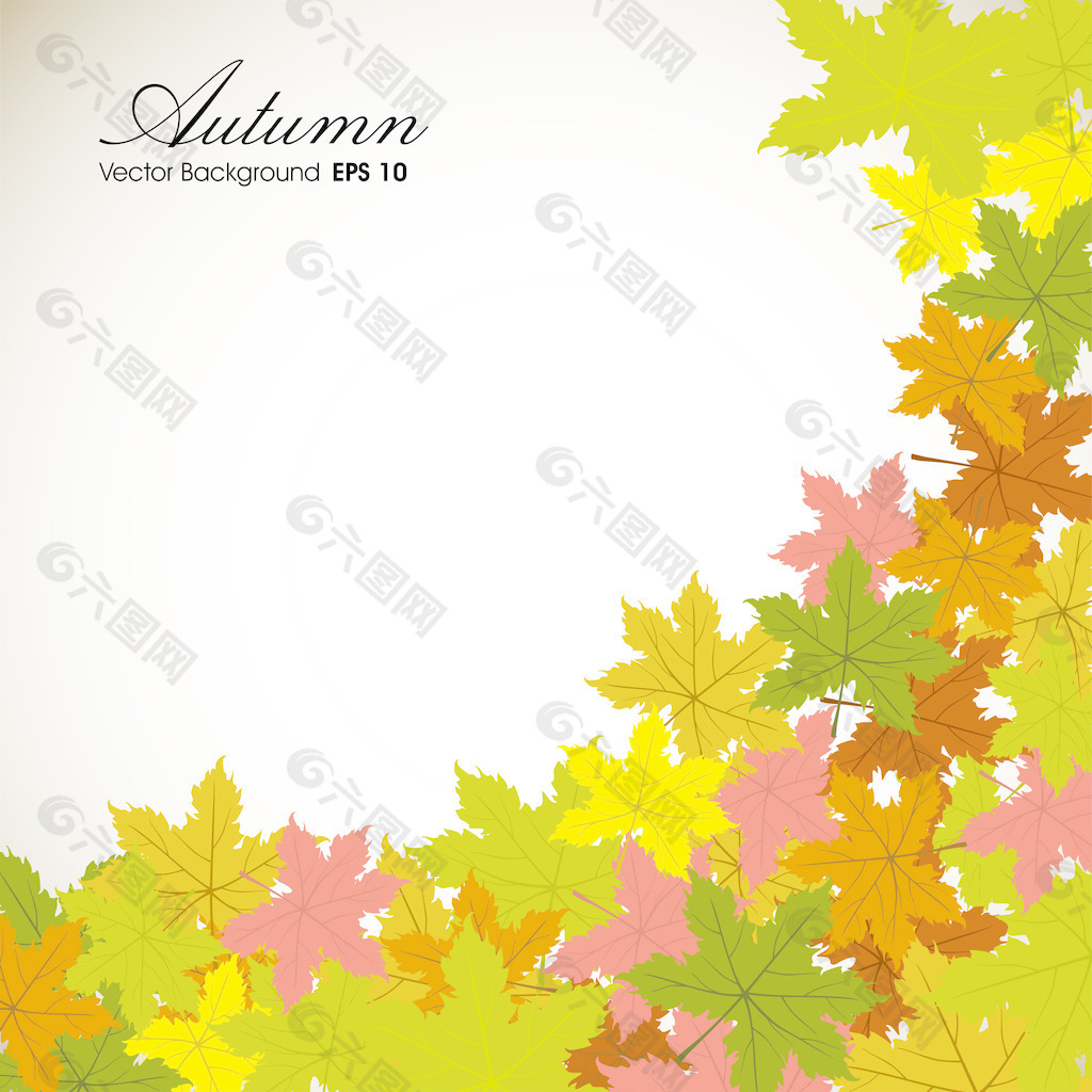秋天的落叶背景与文本空间