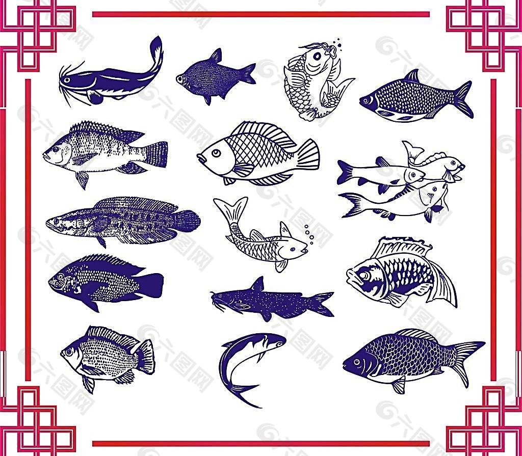 草鱼 海水鱼 各种鱼图片