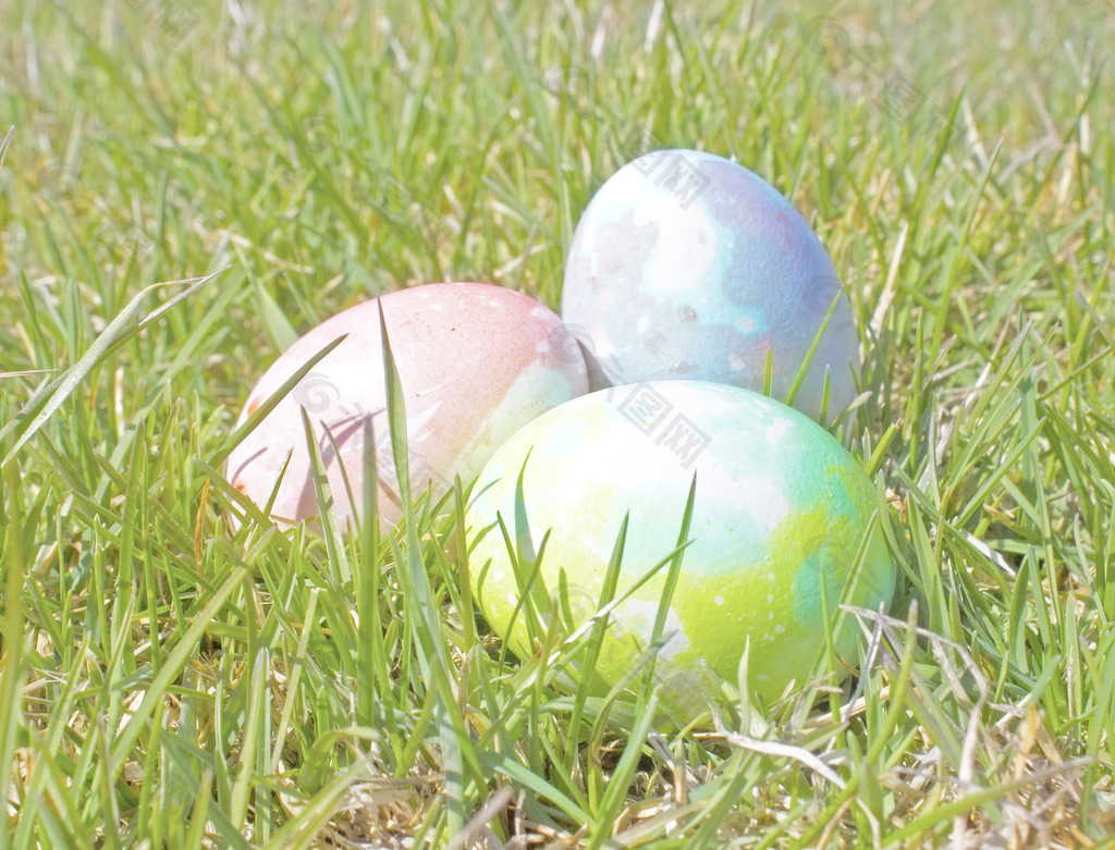 复活节彩蛋在草