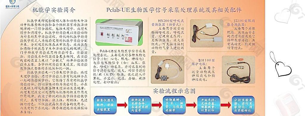 机能学图片