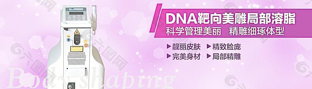 DNA靶向美雕图片