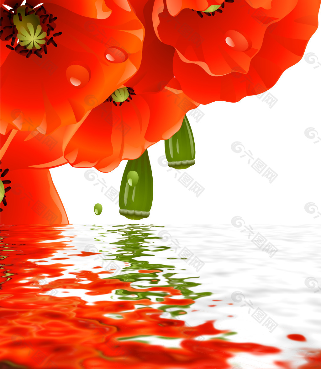 红花水中倒影