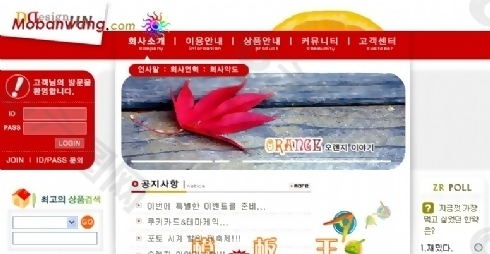 韩国红色枫叶网站模板