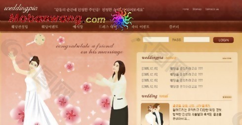 经典婚纱摄影网页模板