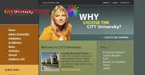 欧美城市大学网站模板