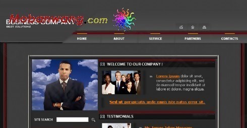 灰黑色企业商务网站模板