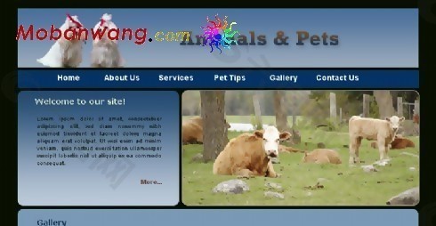 动物与宠物主题网页模板
