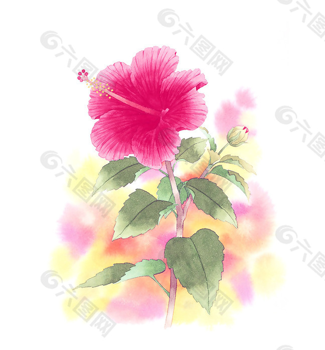 位图 写意花卉 艺术效果 水彩 花卉 免费素材