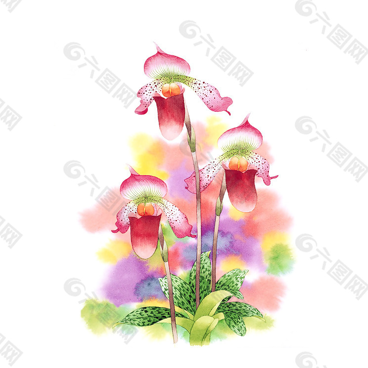 位图 写意花卉 艺术效果 水彩 花卉 免费素材