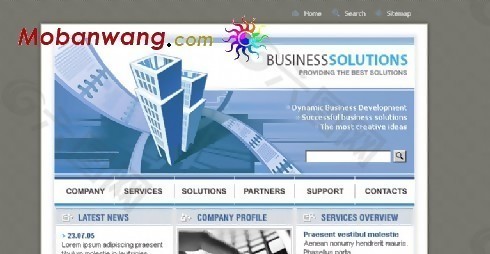 商务公司网络服务网页模板