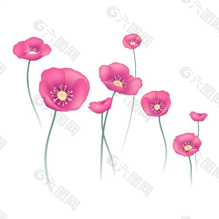 印花矢量图 写实花卉 花朵 虞美人 免费素材