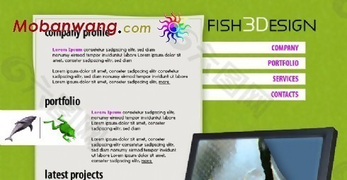 FLASH设计公司网页模板