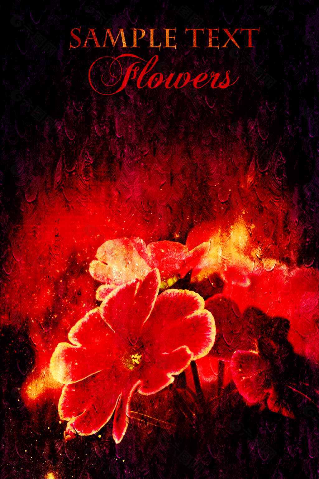 火红的花朵