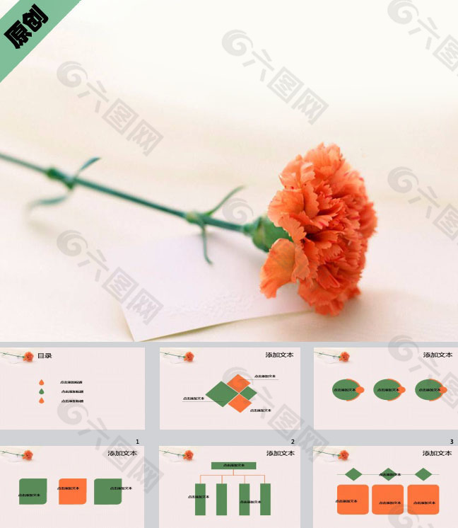 康乃馨感恩ppt模板
