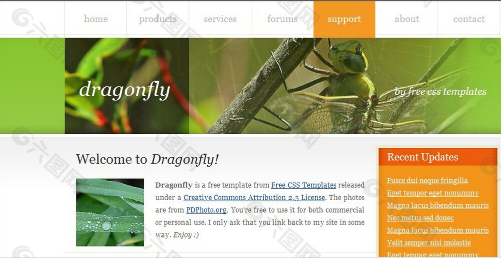蜻蜓主题信息网页模板