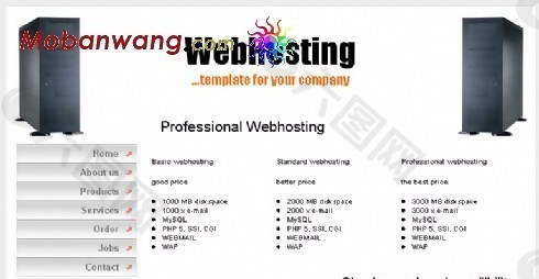专业服务器托管企业网站模板