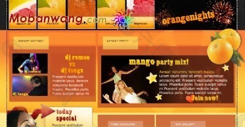 芒果之夜派对酒吧网页模板