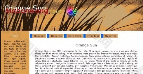 橙色信息介绍网页模板