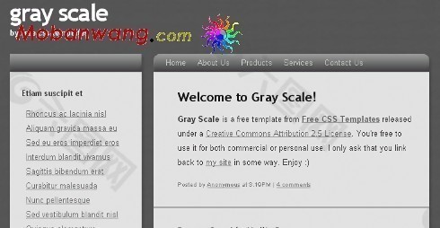 灰色文章信息网页模板