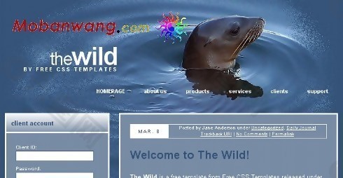 海洋生物保护BLOG网页模板
