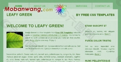 绿叶信息动态网页模板