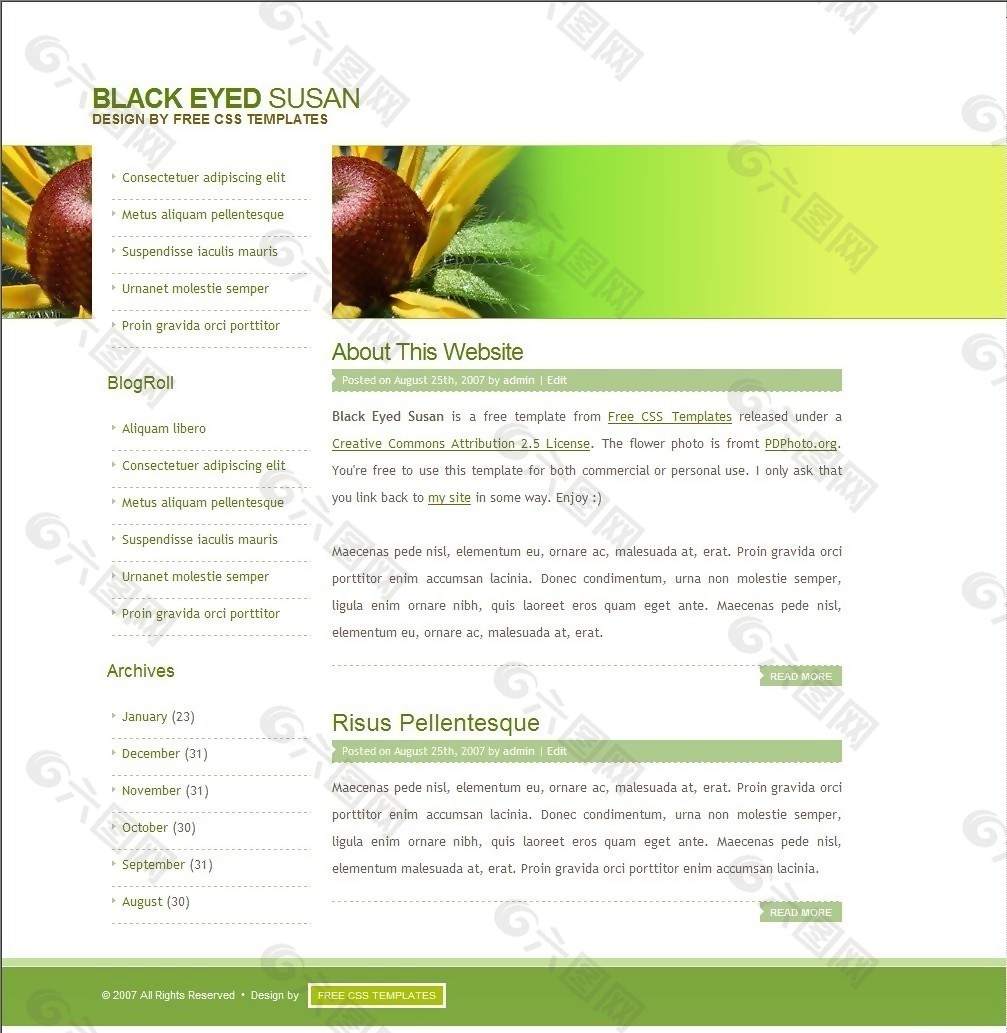 黑眼睛的苏珊BLOG网页模板