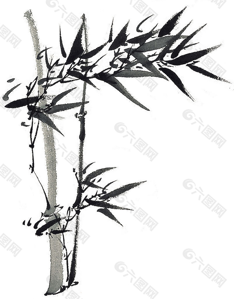 位图 植物 竹子 水墨 黑色 免费素材