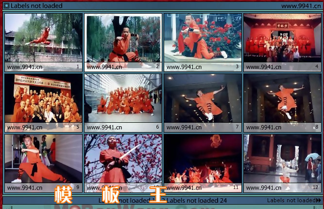 少林武术FLASH相册模板