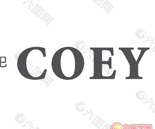 酷丽 COEY