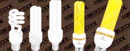 黄色和白色节能灯矢量素材