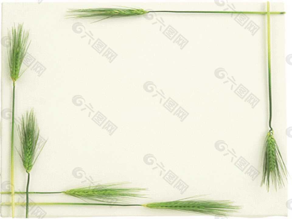 绿色麦穗背景方框PPT模板