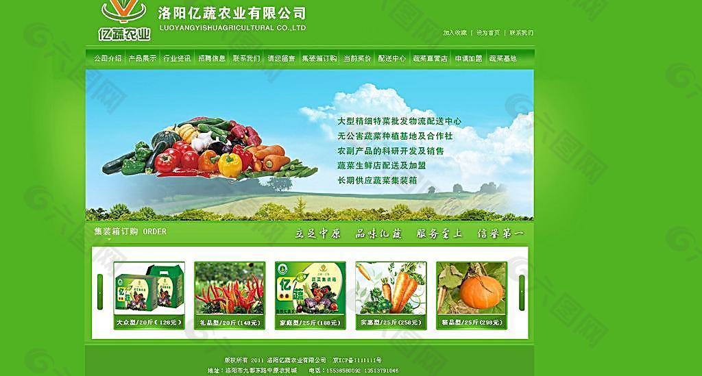 蔬菜公司网站图片