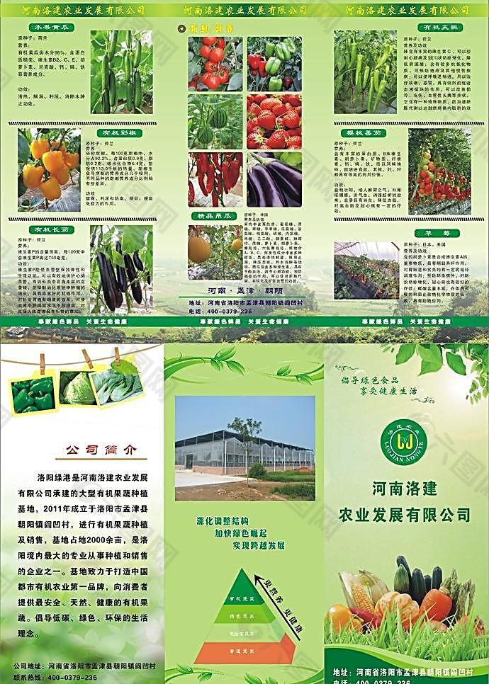 蔬菜彩面三折页图片