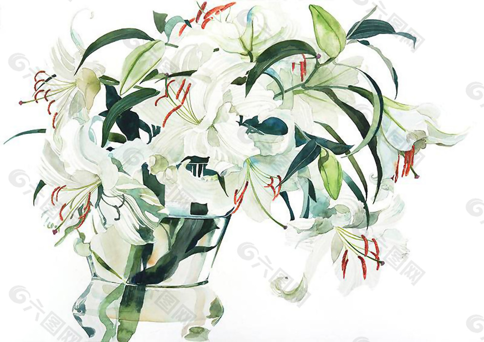 位图 植物插画 柘植彩子 艺术效果 水彩 免费素材