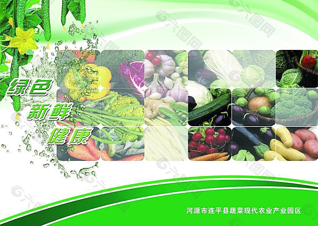 蔬菜基地 蔬菜海报图片
