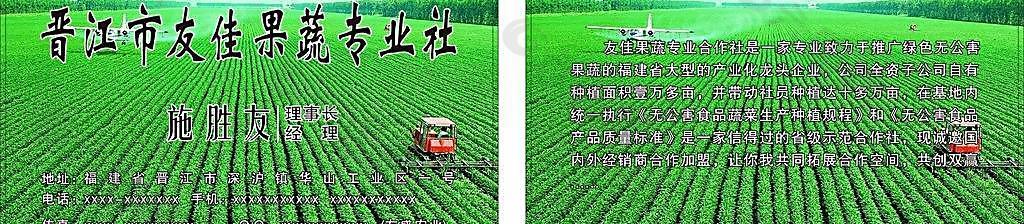 友佳蔬菜名片图片