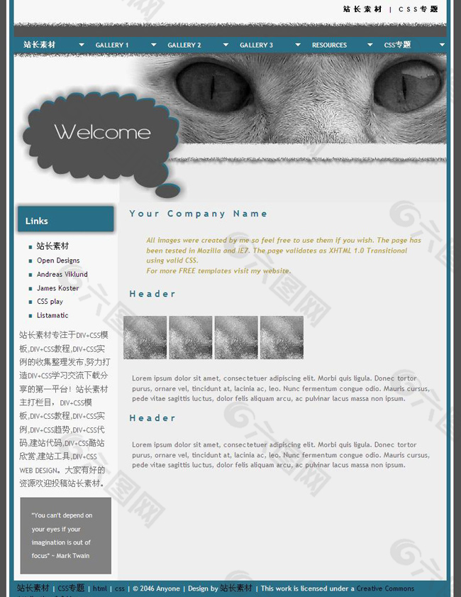 艺术猫眼css+div网页