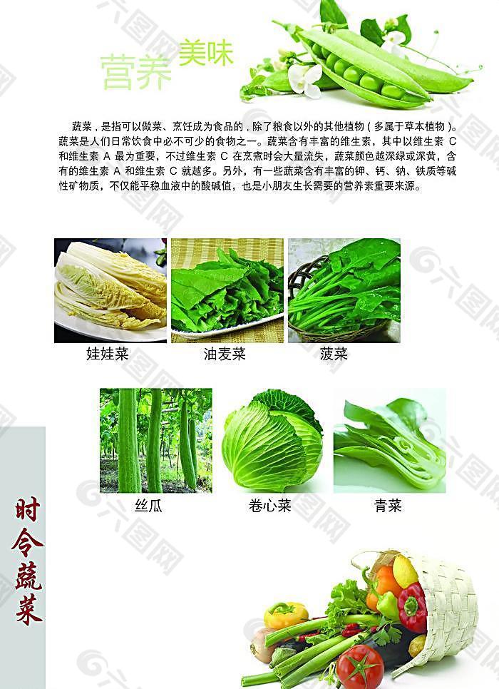 时令蔬菜菜谱图片