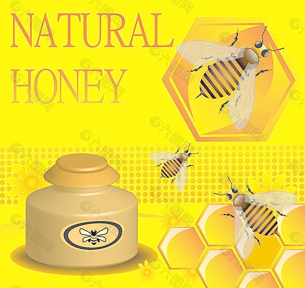 天然蜂蜜背景矢量图片