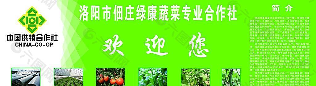 蔬菜专业合作社海报图片