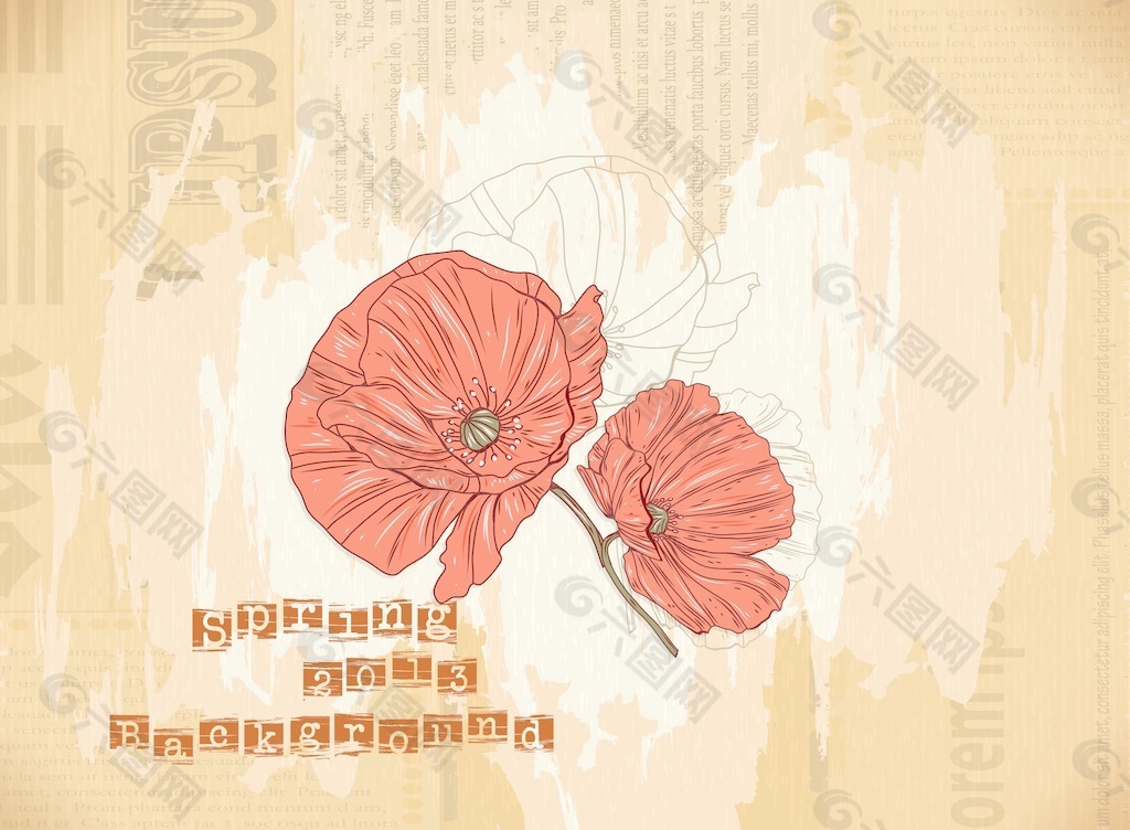 罂粟花的背景矢量插图