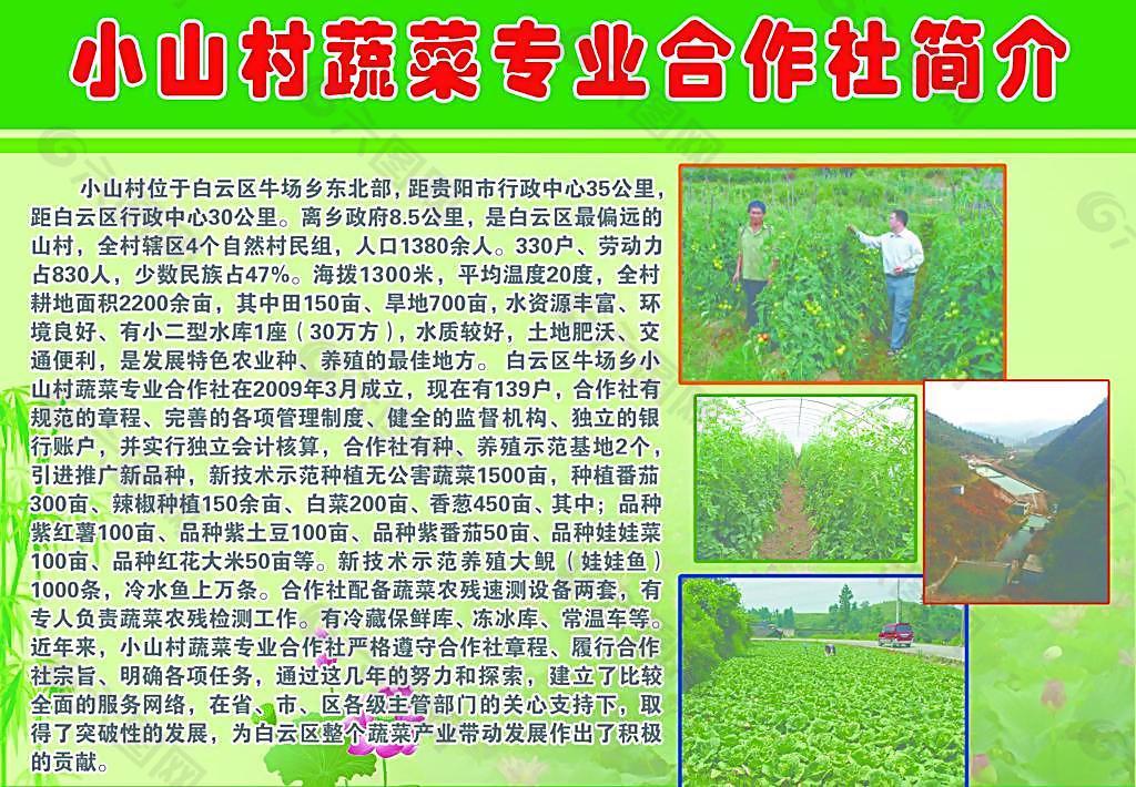 小山村蔬菜专业合作社简介图片