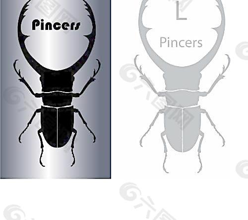 螫 甲蟲图片