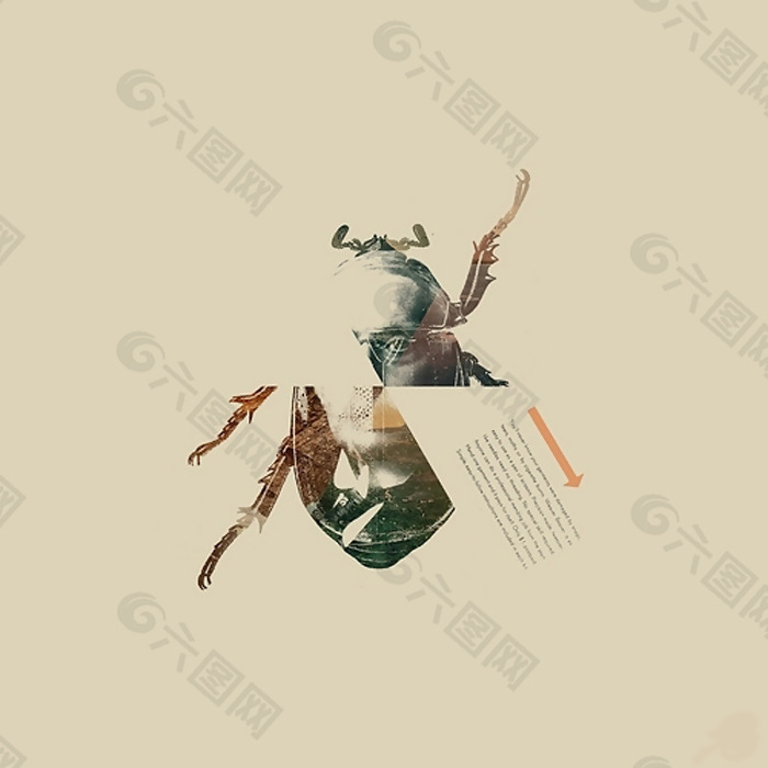 位图 插画 拼贴 动物 甲虫 免费素材