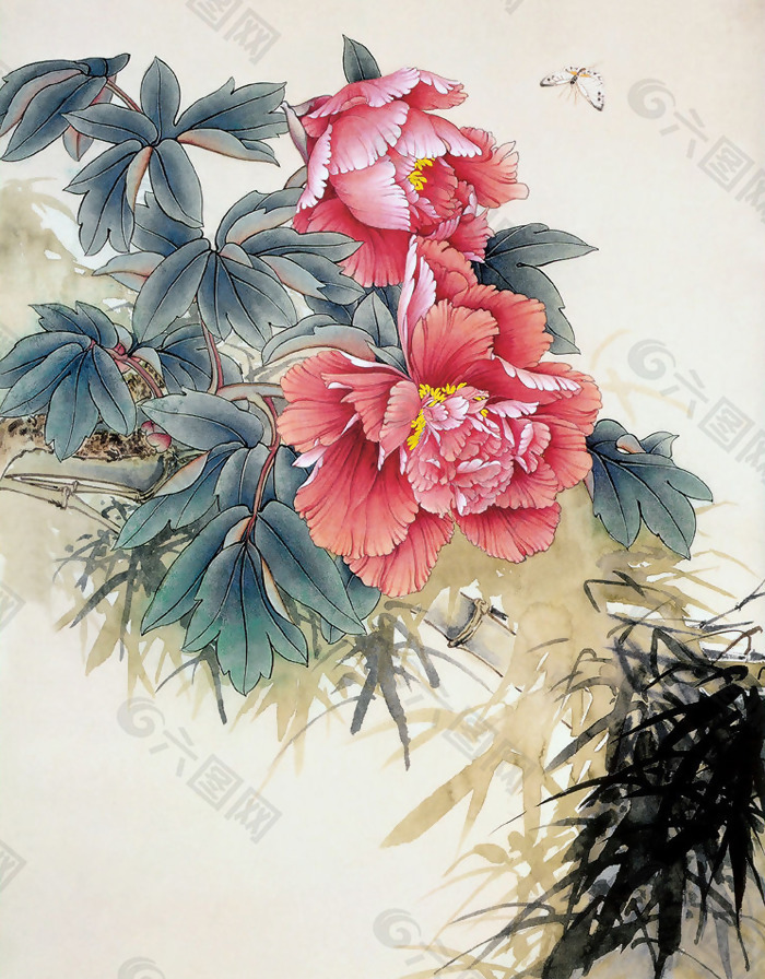位图 植物 花卉 优雅植物 牡丹花 免费素材